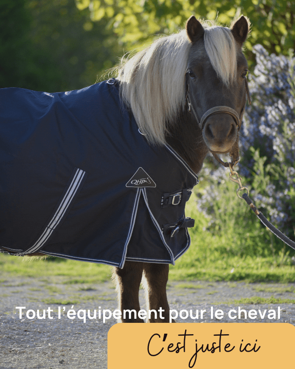 Tout l'équipement pour le Cheval