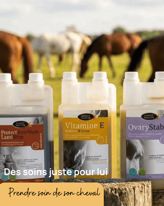 Des soins juste pour lui 