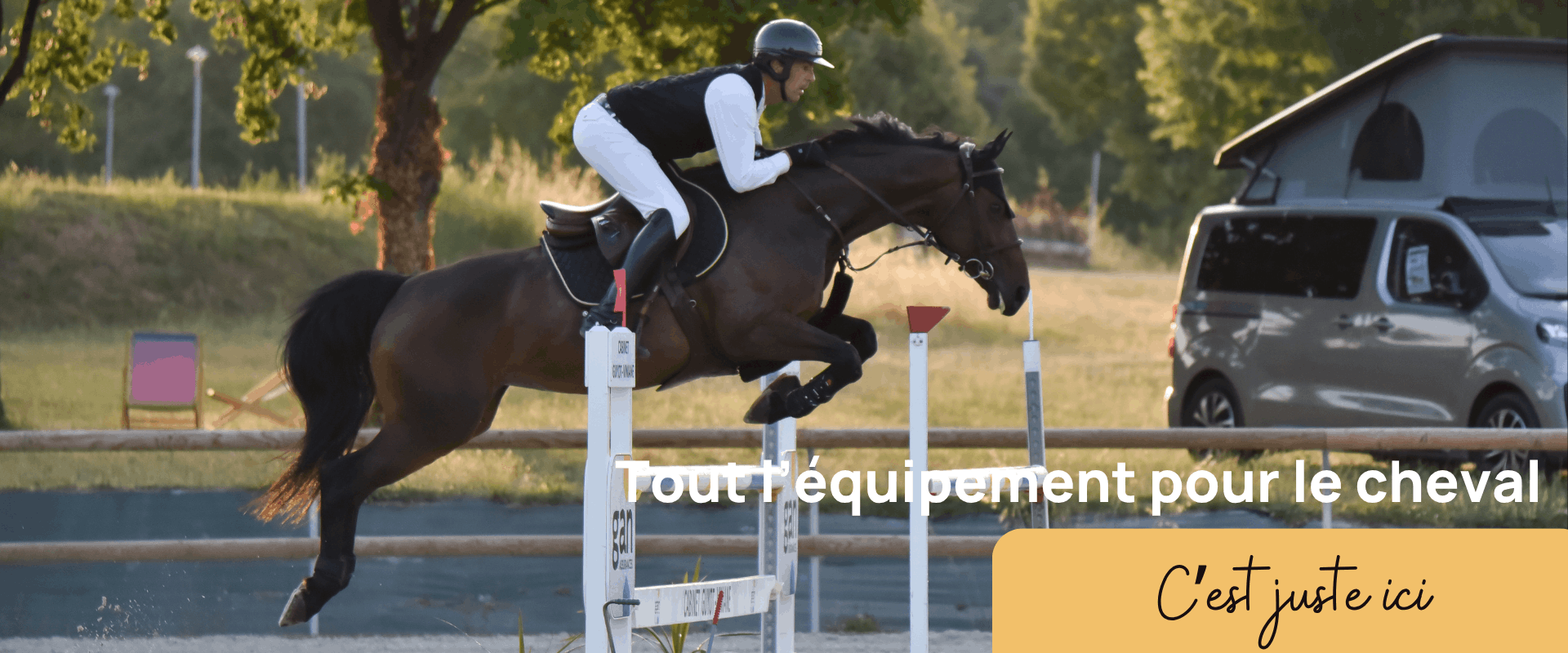 Tout l'équipement pour le Cheval