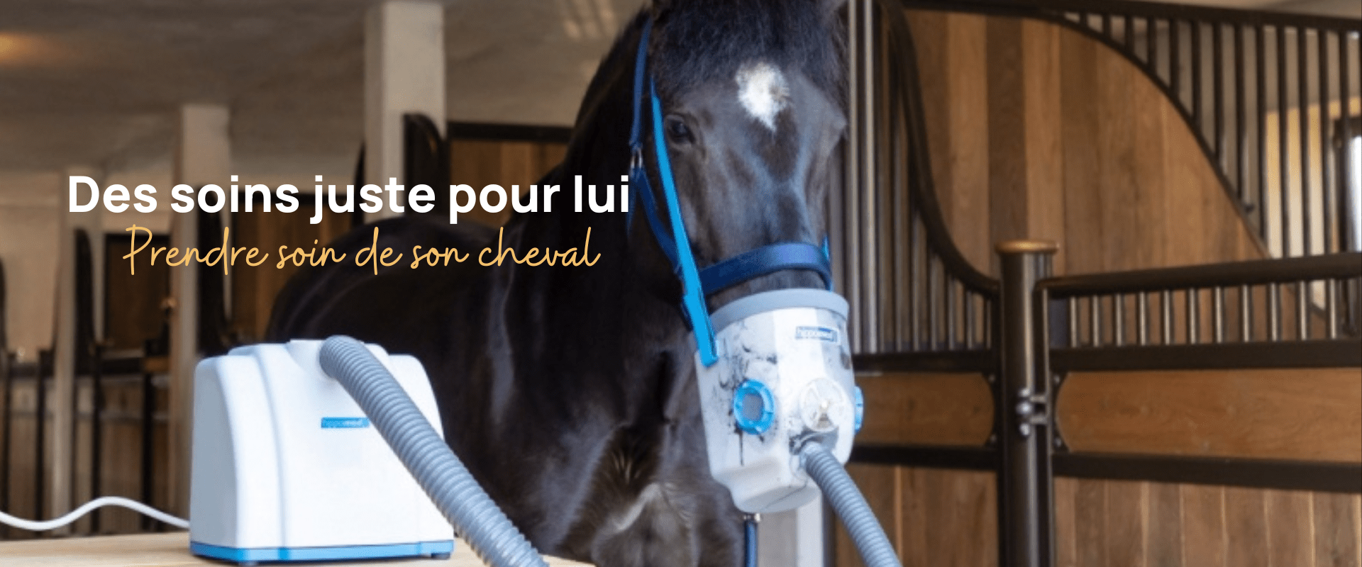 Des soins juste pour lui 