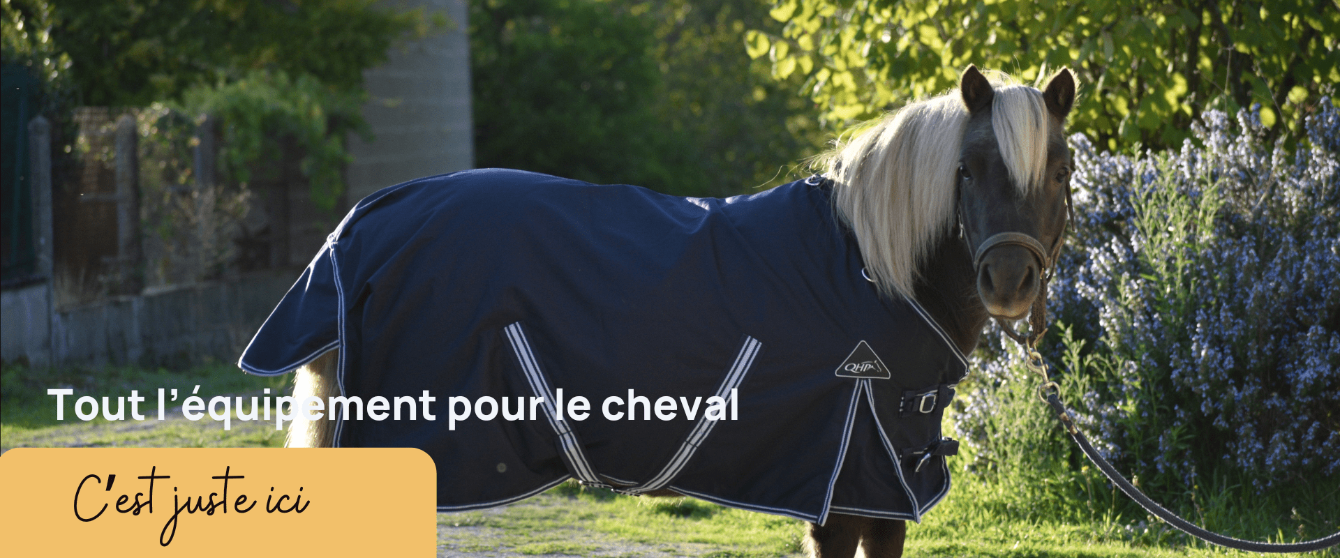 Tout l'équipement pour le Cheval