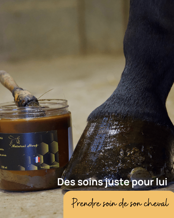 Des soins juste pour lui 