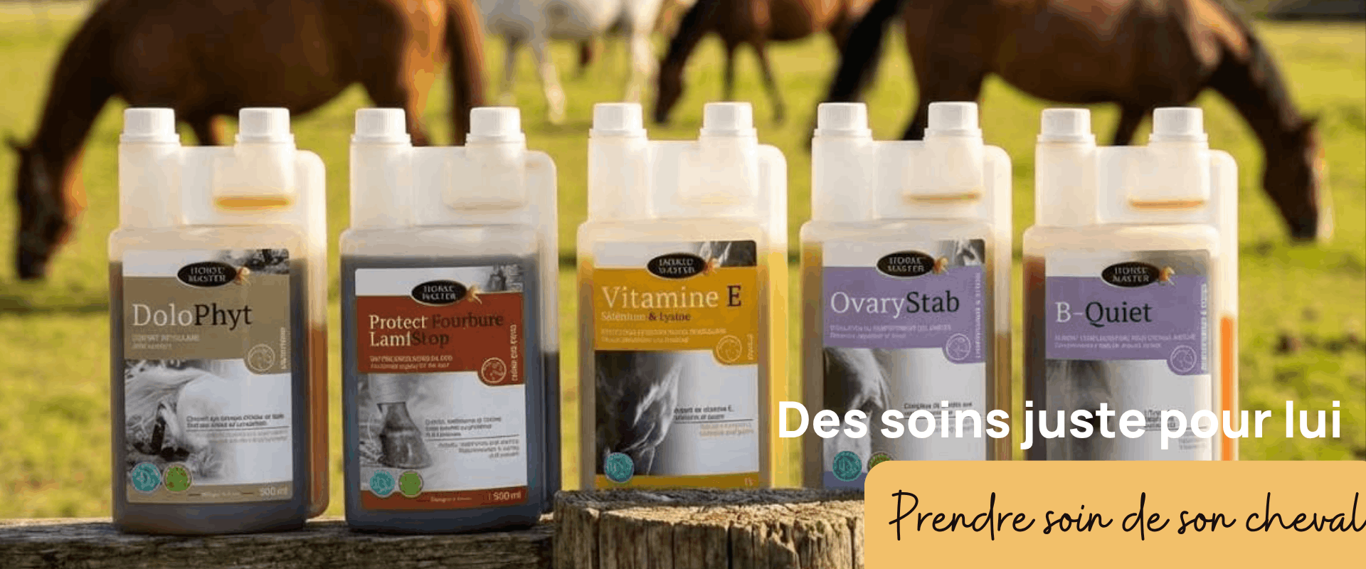 Des soins juste pour lui 