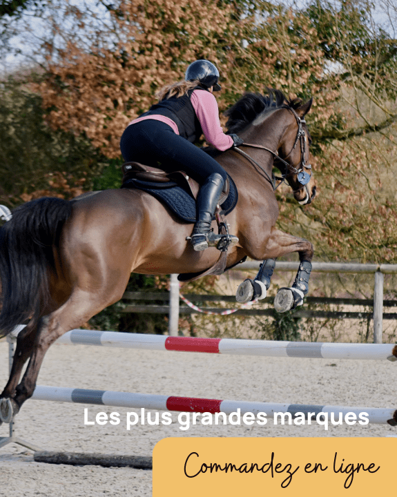 Les plus grandes marques