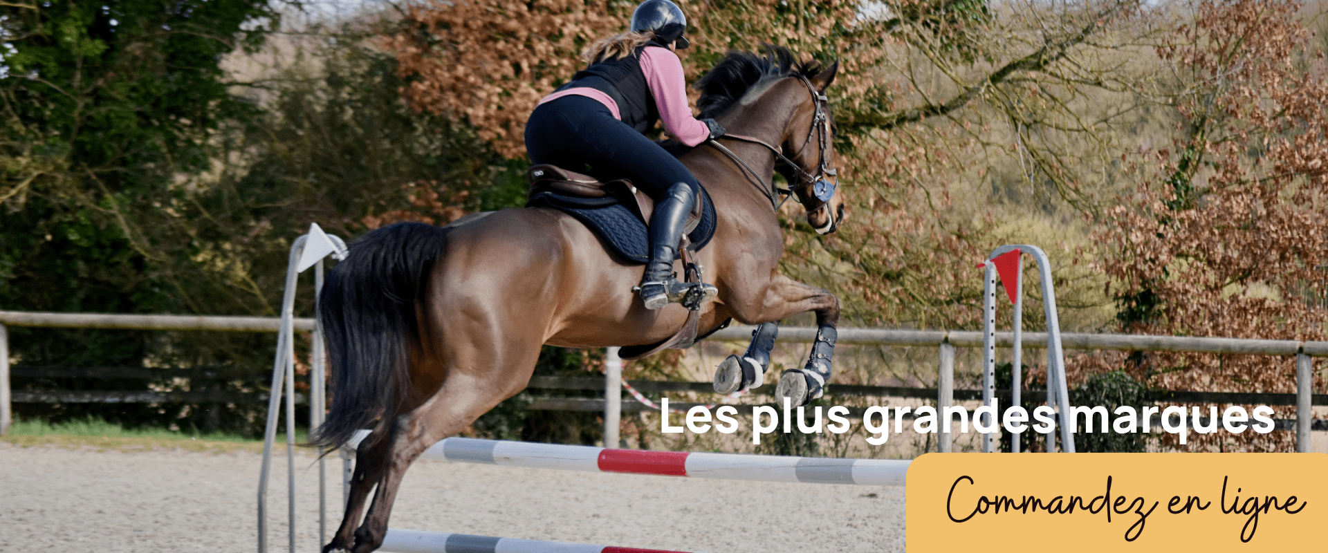 Les plus grandes marques