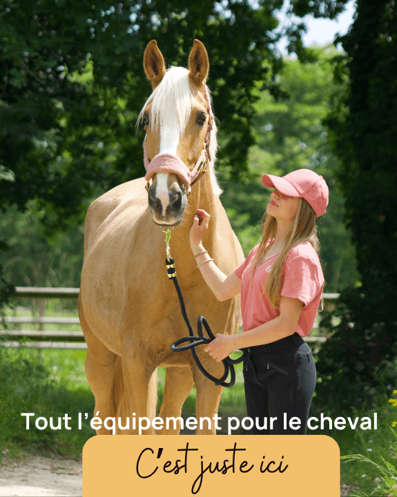 Tout l'équipement pour le Cheval