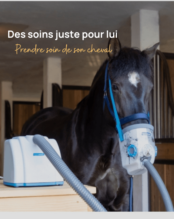 Des soins juste pour lui 
