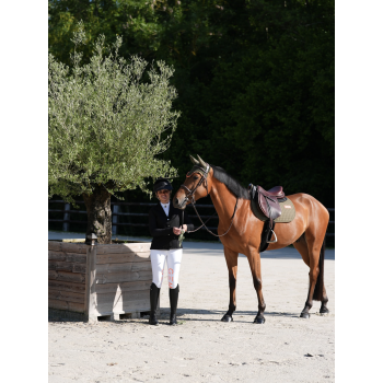 Tapis Leo Obstacle