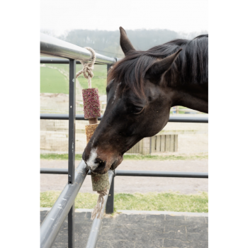 Jouet en bois relaxant pour cheval