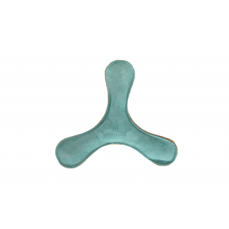 Jouet pour chien Pastel Boomerang