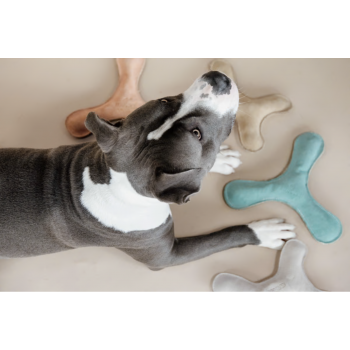 Jouet pour chien Pastel Boomerang