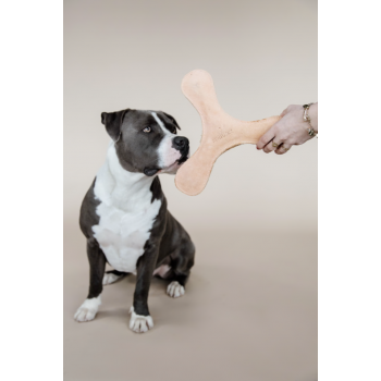 Jouet pour chien Pastel Boomerang