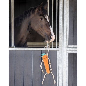 Jouets pour chevaux