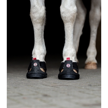 Hipposandales de trekking Equine Fusion