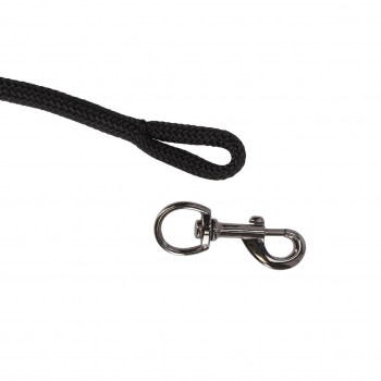 Longe avec clip détachable