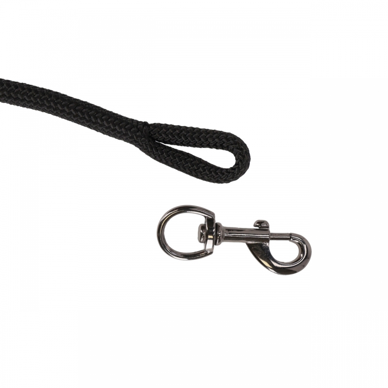 Longe avec clip détachable