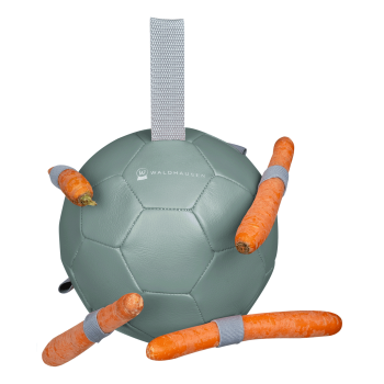 Balle à carottes