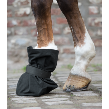 Protection de pansement pour sabot