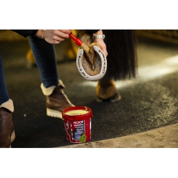 KEVIN BACON'S HOOF DRESSING BLACK