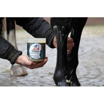 Gel refroidissant LEOVET - Cellsius