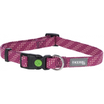 Collier pour chien Colorado