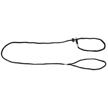 Laisse longue avec collier noire
