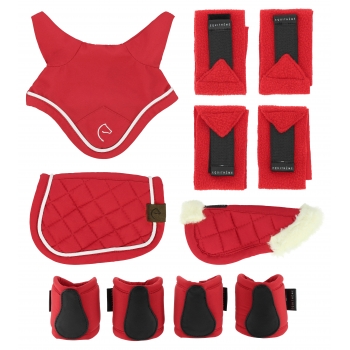 Set Mini accessoires PONY ACADEMY