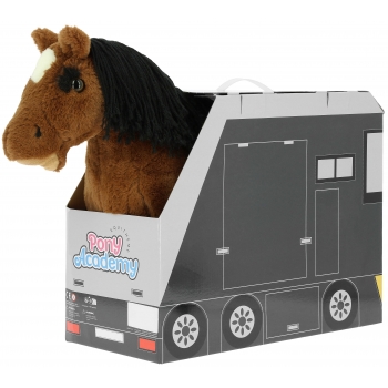 Mini-poney - PONY ACADEMY
