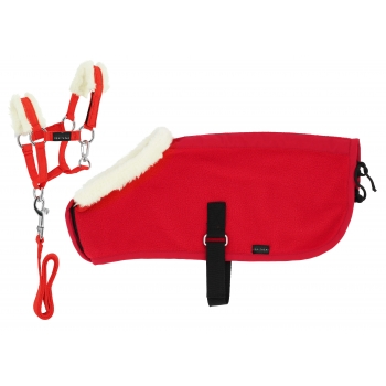 Set Mini licol+couverture PONY ACADEMY
