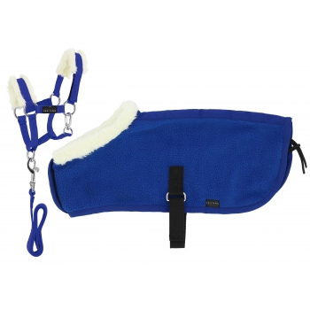 Set Mini licol+couverture PONY ACADEMY