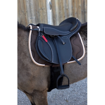 Selle Evolution jumping