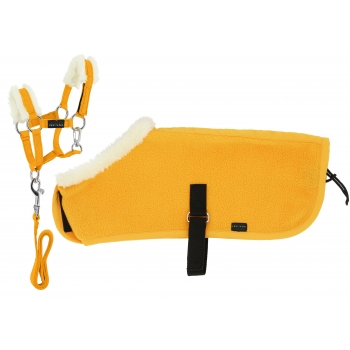 Set Mini licol+couverture PONY ACADEMY