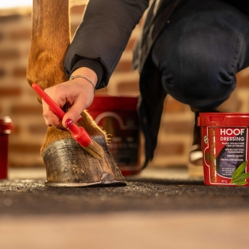 Graisse pour sabots KEVIN BACON'S - Hoof Dressing Original
