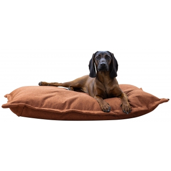 Coussin Oliver