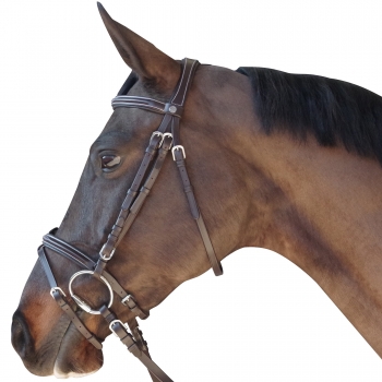 Bridon CANTER Surpiqué - Combiné
