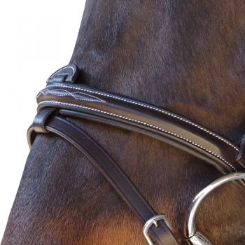 Bridon CANTER Surpiqué - Combiné