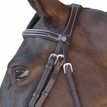 Bridon CANTER Surpiqué - Combiné