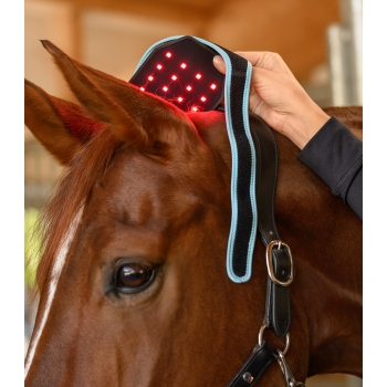 HEALTH + CARE INFRARED FLEXPAD