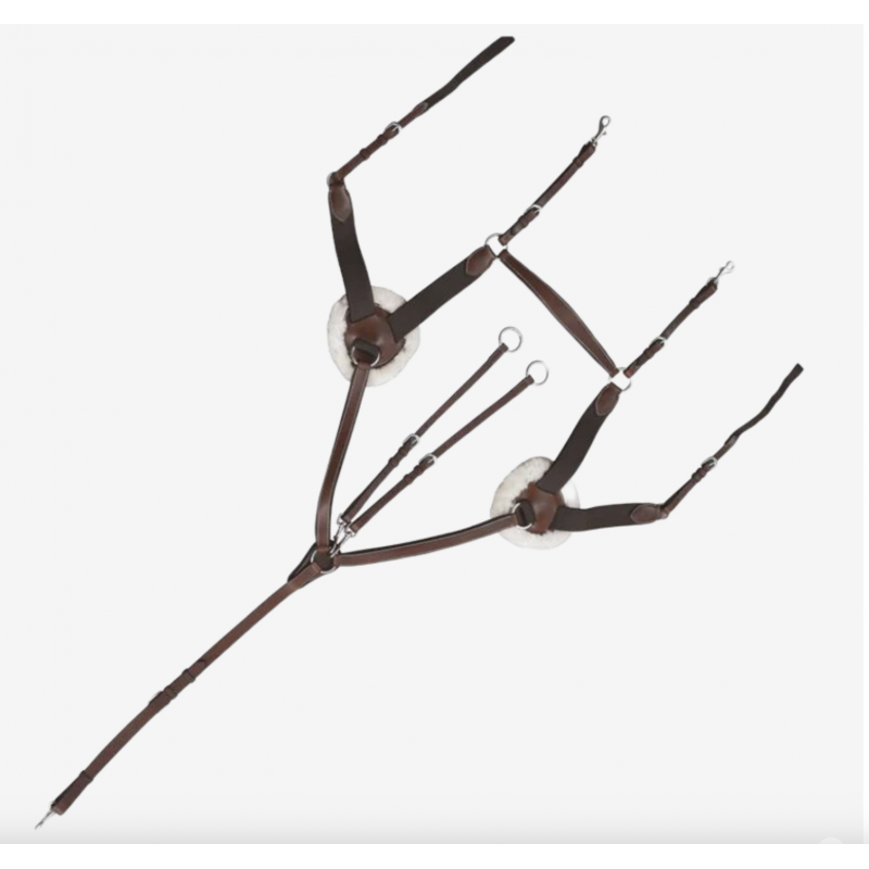 Collier de Chasse 5points