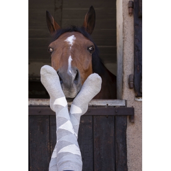 Chaussettes EQUITHÈME - Girly