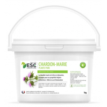 CHARDON-MARIE – Détox foie cheval – Plante pure