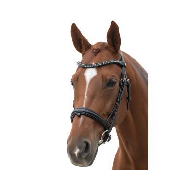 Bridon dressage CANTER TOTILAS