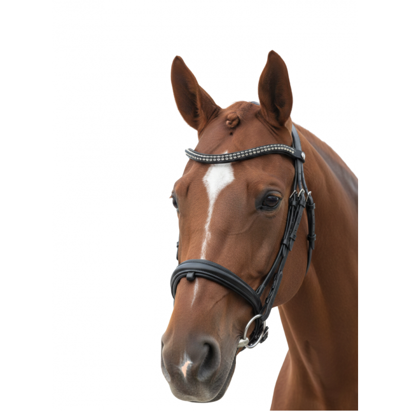 Bridon dressage CANTER TOTILAS