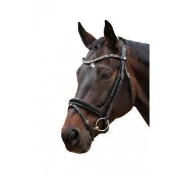 Bridon CANTER VALEGRO