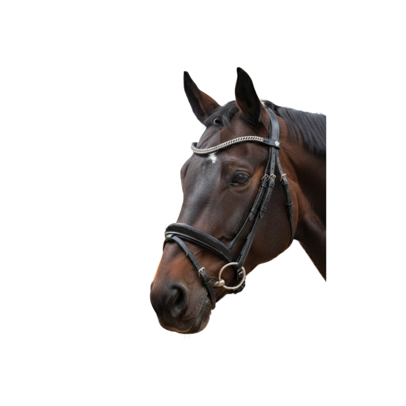 Bridon CANTER VALEGRO