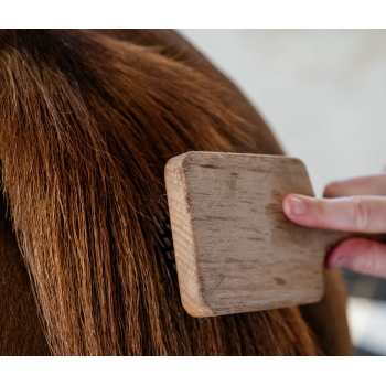 Huile nourrissante — Cheval