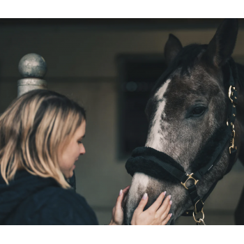 Huile relaxante — Cheval