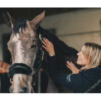 Huile relaxante — Cheval
