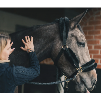 Huile relaxante — Cheval