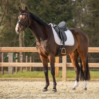 Tapis de selle Firenze Dressage